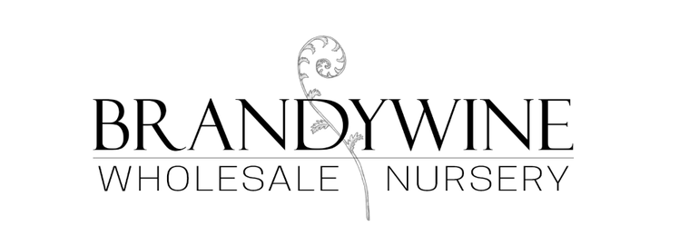 Brandywine Wholesale Nursery